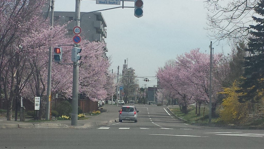 20140430_111027